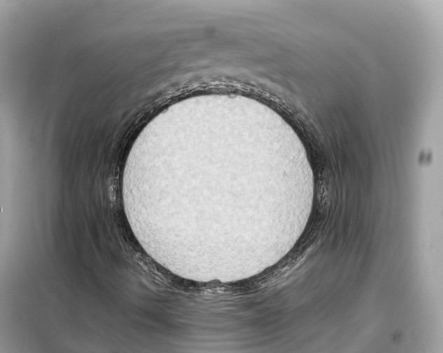 X0000099231490200805221824