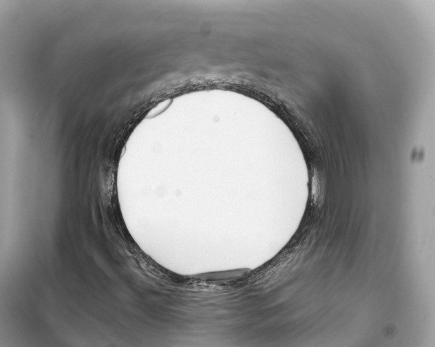 X0000099231492200805221825