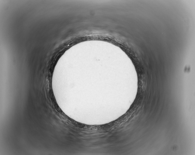 X0000099231493200805221825