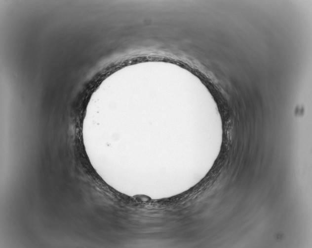 X0000099231495200805221825