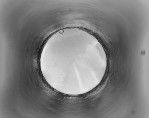 X0000099231497200805221825