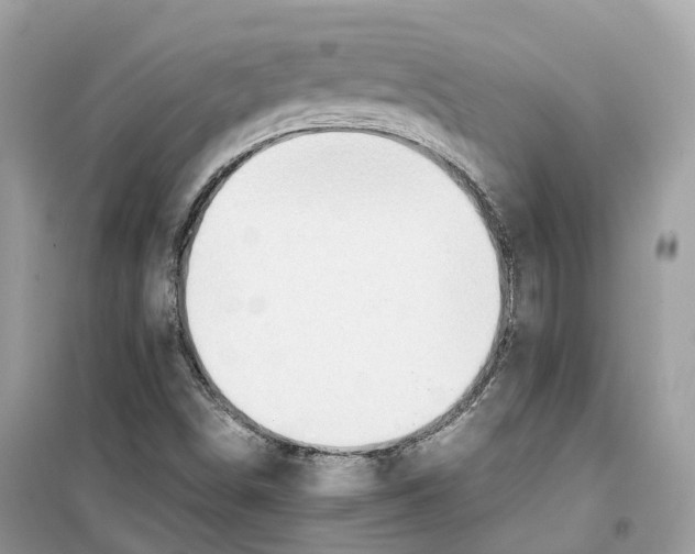 X0000099231498200805221825