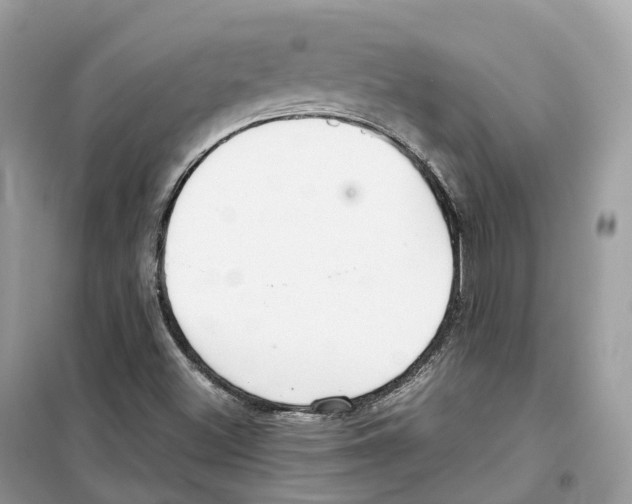 X0000099231500200805221825