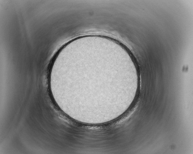 X0000099231501200805221825