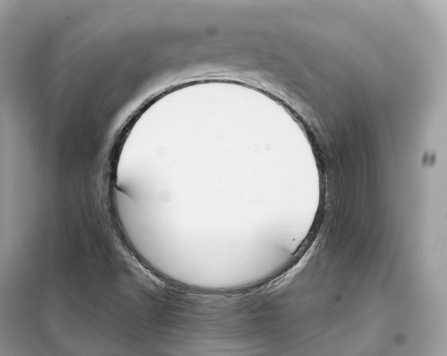 X0000099231502200805221825