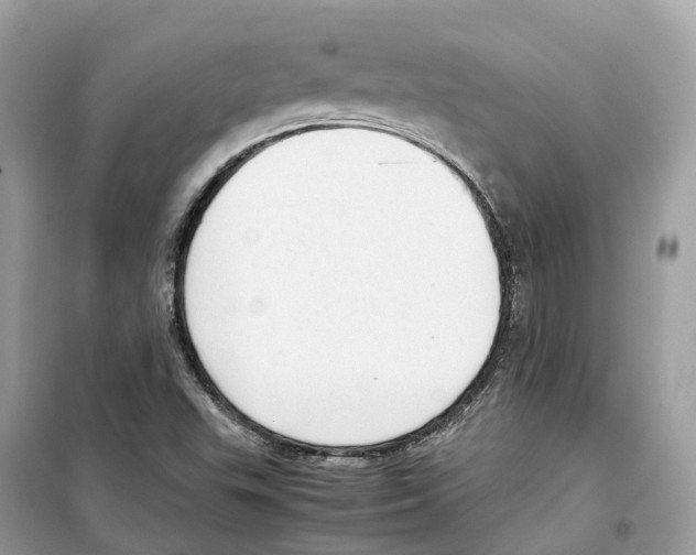 X0000099231503200805221825