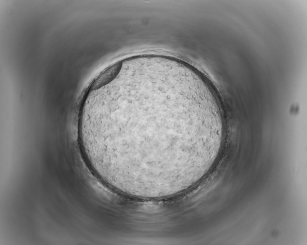 X0000099231504200805221825