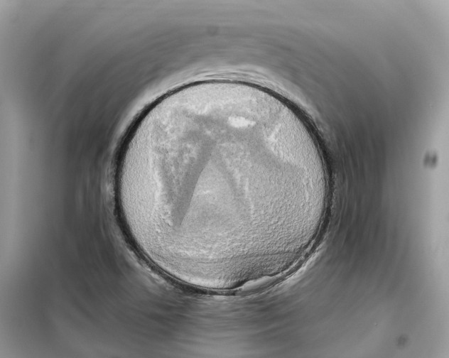 X0000099231506200805221825