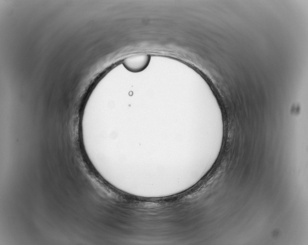 X0000099231507200805221825