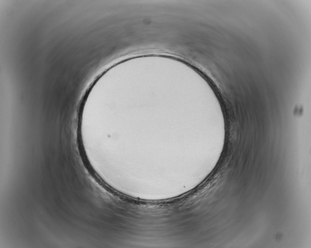 X0000099231508200805221825