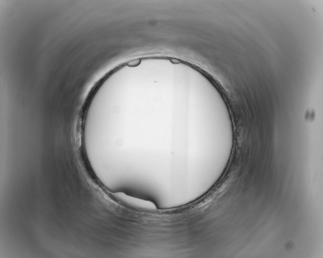 X0000099231510200805221825