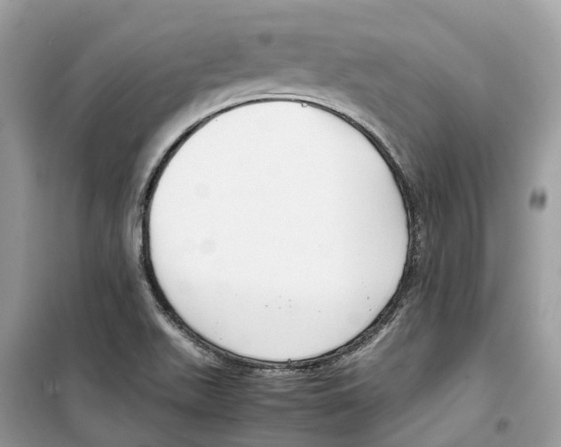 X0000099231511200805221825