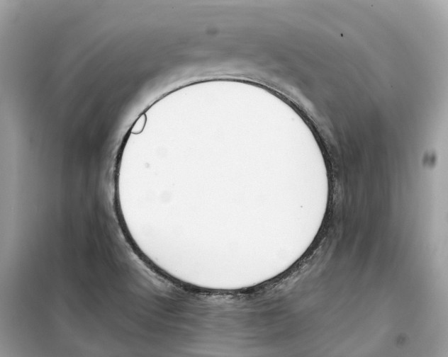 X0000099231512200805221825