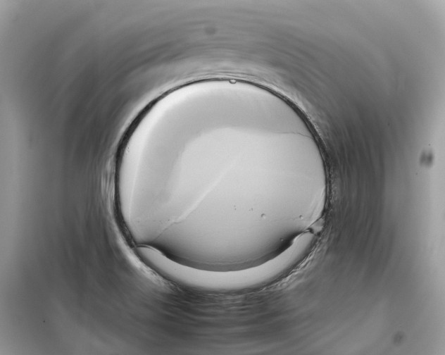 X0000099231515200805221825