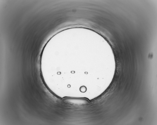 X0000099231516200805221825