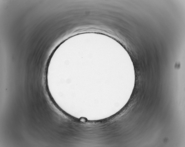 X0000099231518200805221825