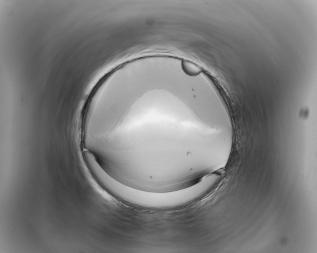 X0000099231519200805221825