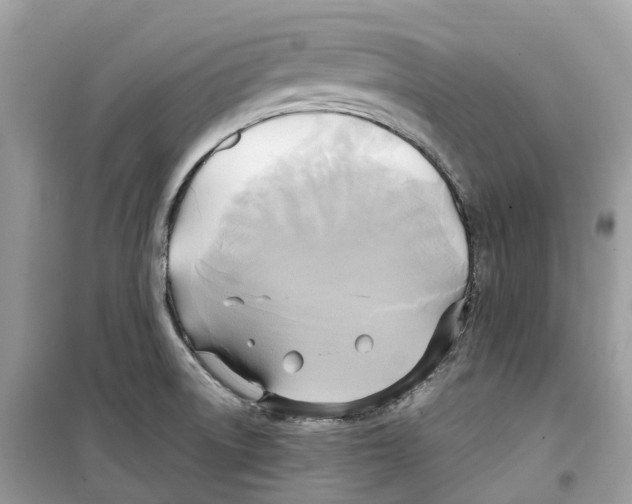 X0000099231522200805221825