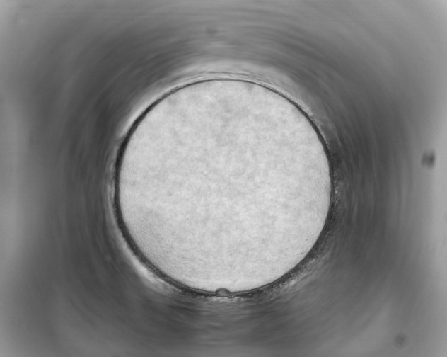 X0000099231523200805221825