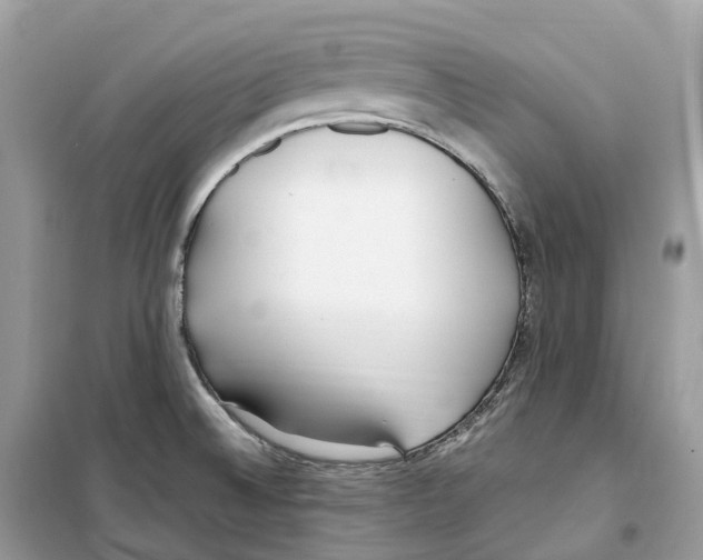 X0000099231524200805221825