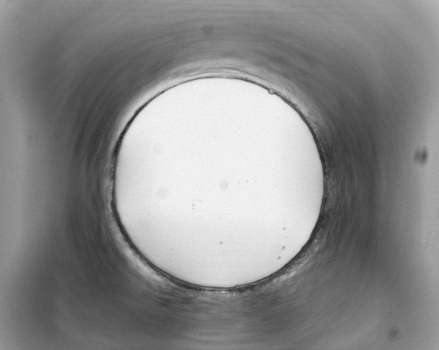 X0000099231526200805221825