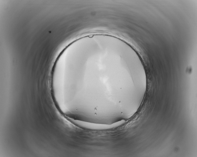 X0000099231527200805221825