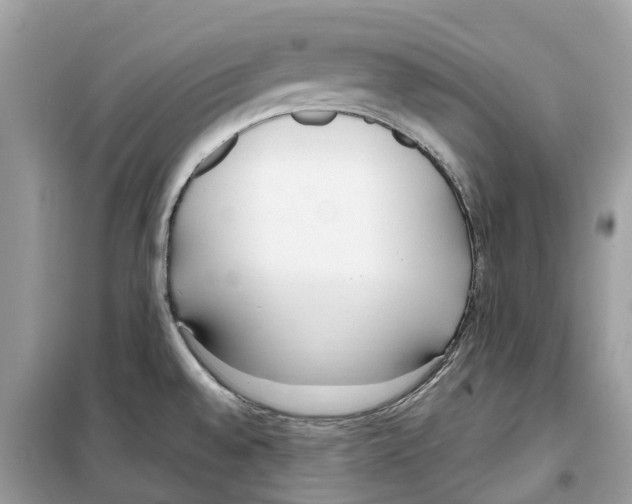 X0000099231528200805221825