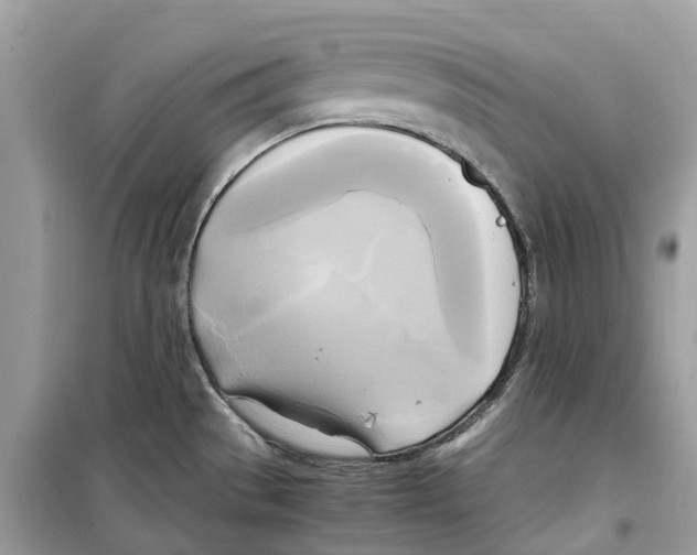 X0000099231529200805221825