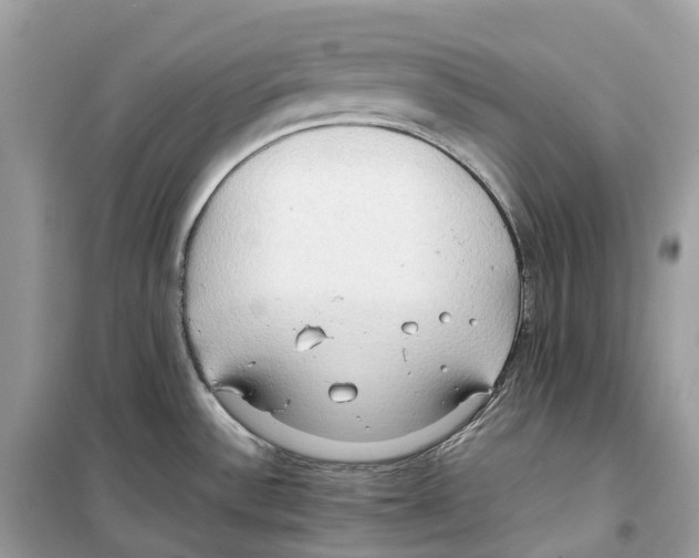 X0000099231532200805221825