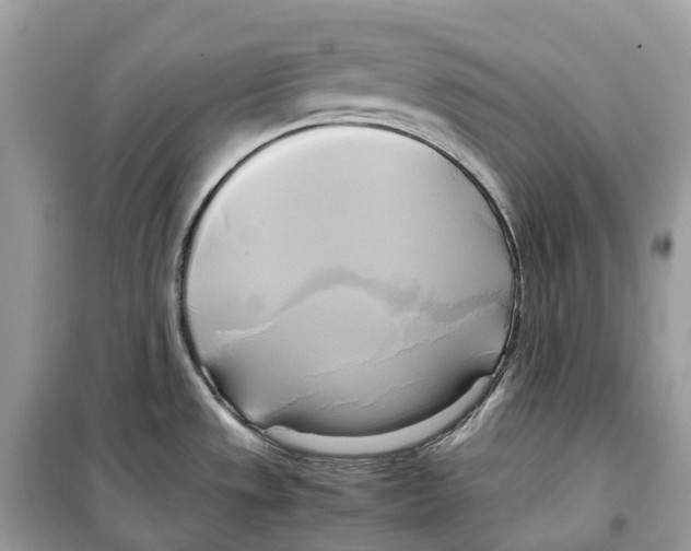 X0000099231533200805221825