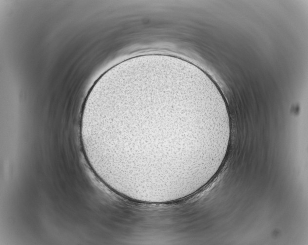 X0000099231534200805221825