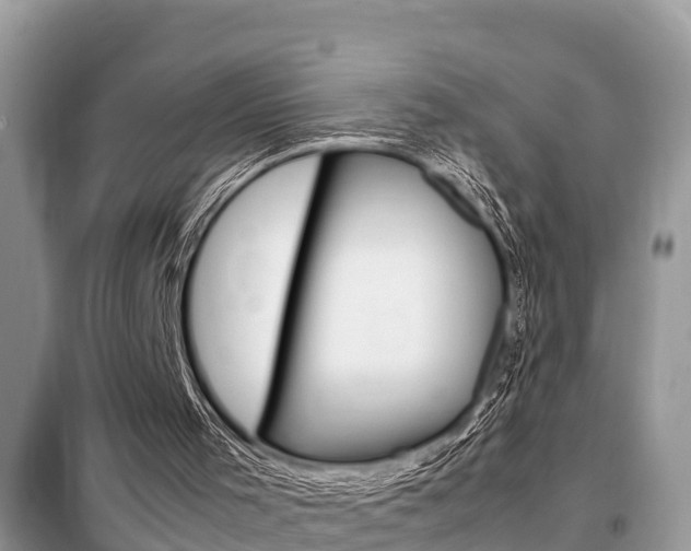 X0000099290001200805020744