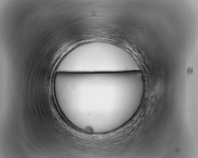 X0000099290002200805020744