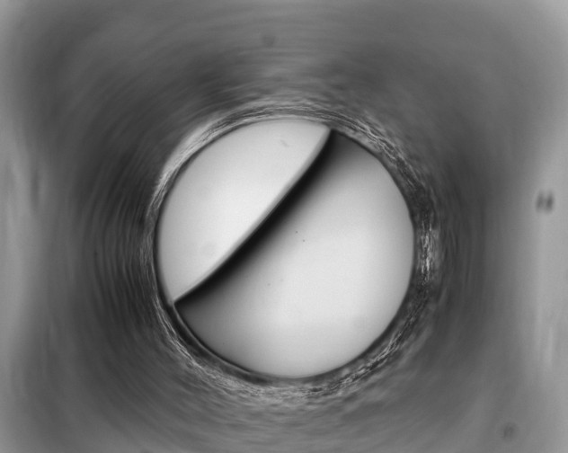 X0000099290004200805020744