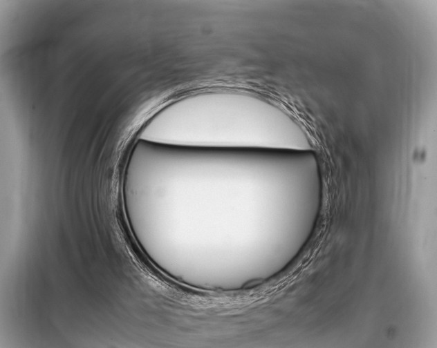 X0000099290005200805020744