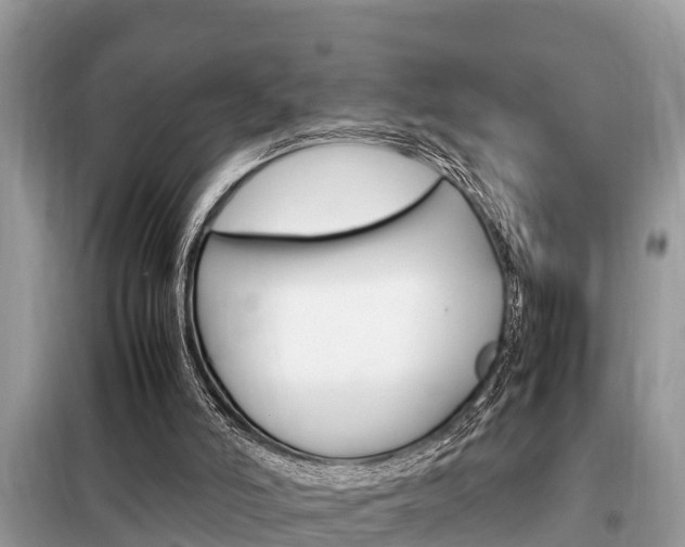 X0000099290006200805020744