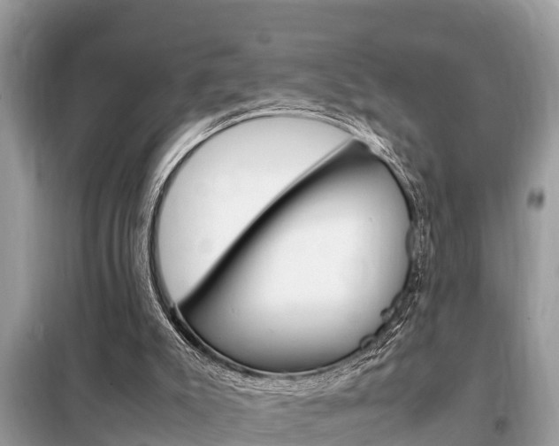 X0000099290007200805020744