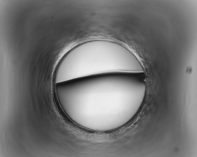 X0000099290008200805020744