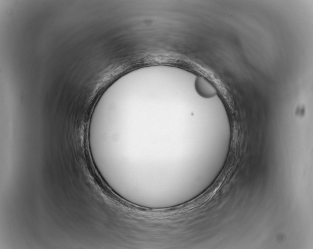 X0000099290010200805020744