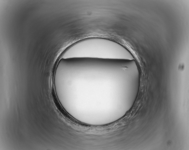 X0000099290011200805020744