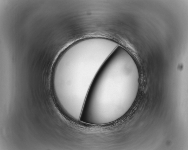 X0000099290012200805020744