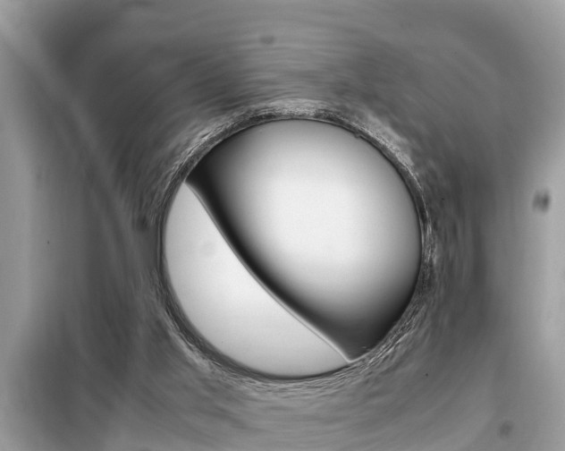 X0000099290013200805020744