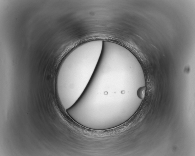 X0000099290014200805020744