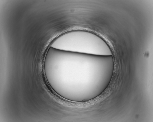 X0000099290015200805020744