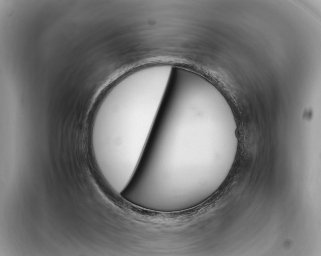 X0000099290016200805020744