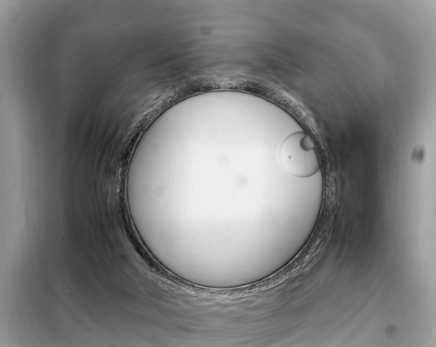 X0000099290018200805020744