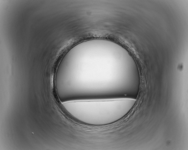 X0000099290019200805020744