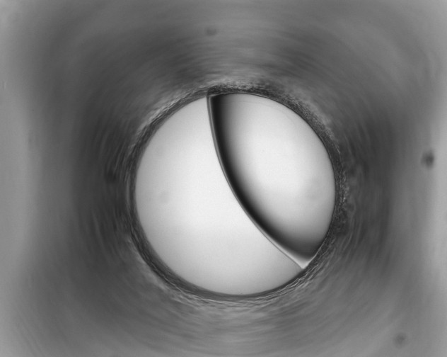 X0000099290020200805020744