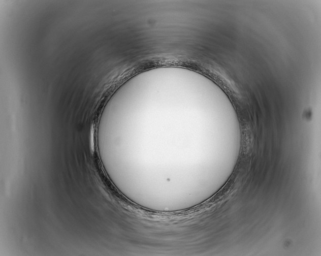 X0000099290022200805020744