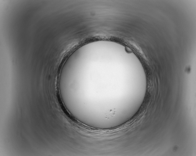 X0000099290023200805020744